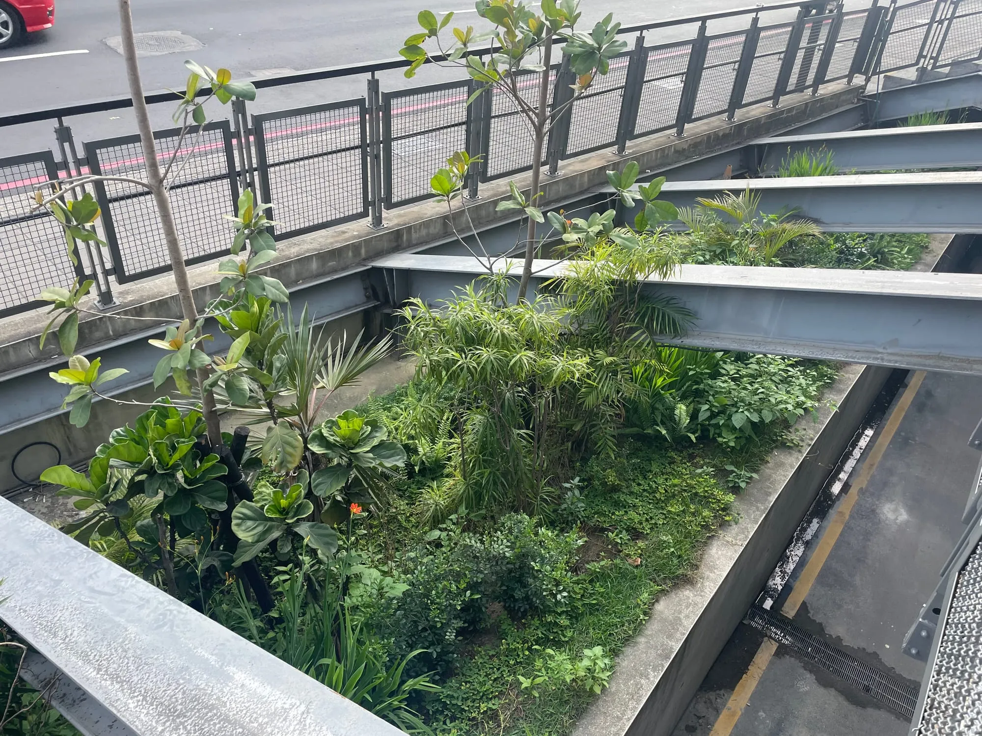 輔仁大學校門口景觀再造計畫 照片 5